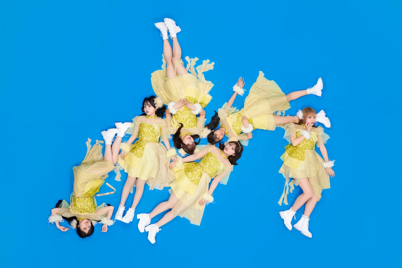 fishbowl アーティスト写真